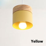 Modern macaron Hanging Light